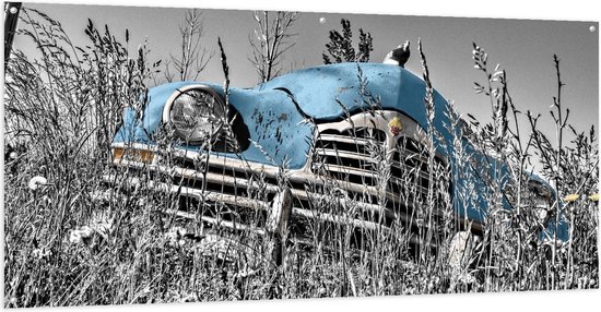 Tuinposter – Blauwe Retro Auto in Gras - 200x100cm Foto op Tuinposter  (wanddecoratie voor buiten en binnen)