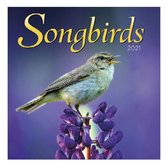 Comello Wandkalender 2021 Zangvogels 30,5 Cm Papier