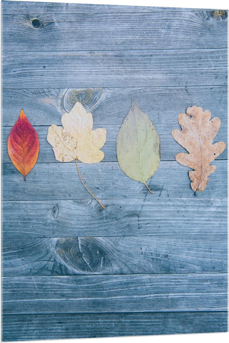 Plexiglas - Herfstbladeren Gedroogd - 80x120cm Foto op Plexiglas (Met Ophangsysteem)