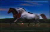 S.Y.W Poster - Galopperende Paarden - Multicolor