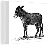 Canvas Schilderij Een illustratie van een zwarte ezel - 80x60 cm - Wanddecoratie