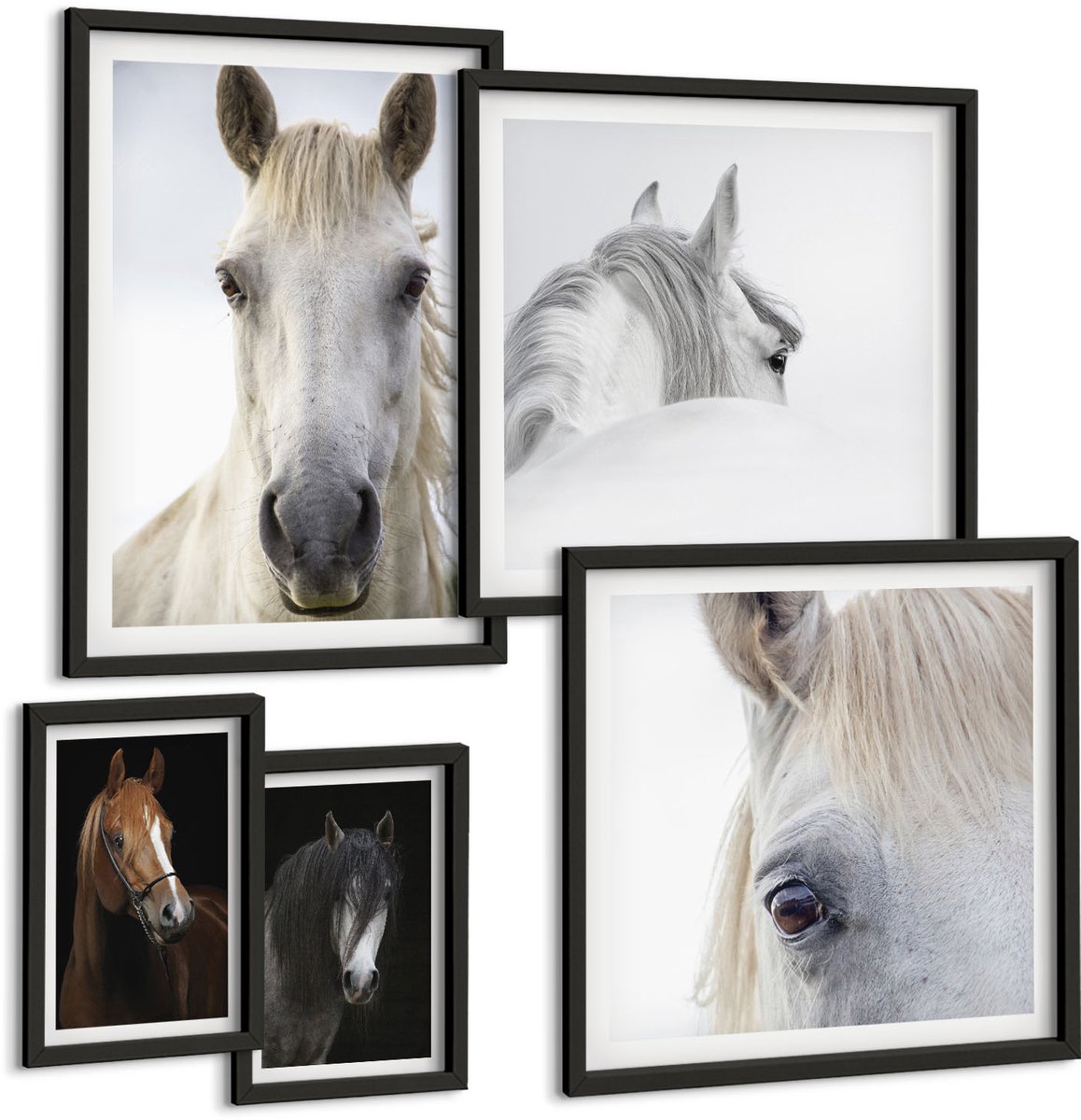 Coloray 5-Delige Schilderij Set - Paardenportretten In Diverse Perspectieven En Artistieke Stijlen. - 50 x 50 cm, 20 x 30 cm En 40 x 60 cm - Decoratieve Muurdecoratie - Slaapkamer - Woonkamer Decoratie Zwarte lijst