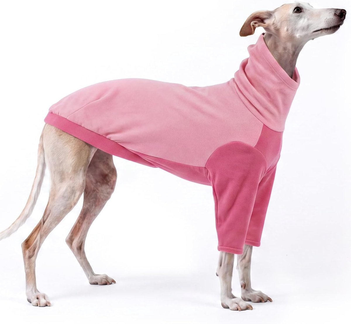 Truien voor honden, wintertrui voor Whippet met nekwarmer, Italiaanse windhond, kleding, winter, warm en comfortabel, voor windhond (roze, S)