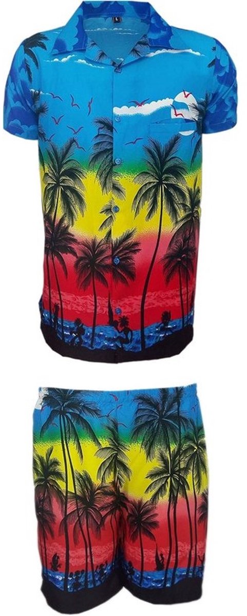 Heren Zomer Hawaiiaans Korte Set - Hawaii Aloha Strandfeest Kleding