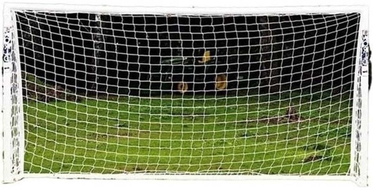 Voetbal Net - Trainingsnet Sportnet - Voetbaltraining Oefenen - Knooploos Gevlochten Net - 300cm x 200cm - Wit
