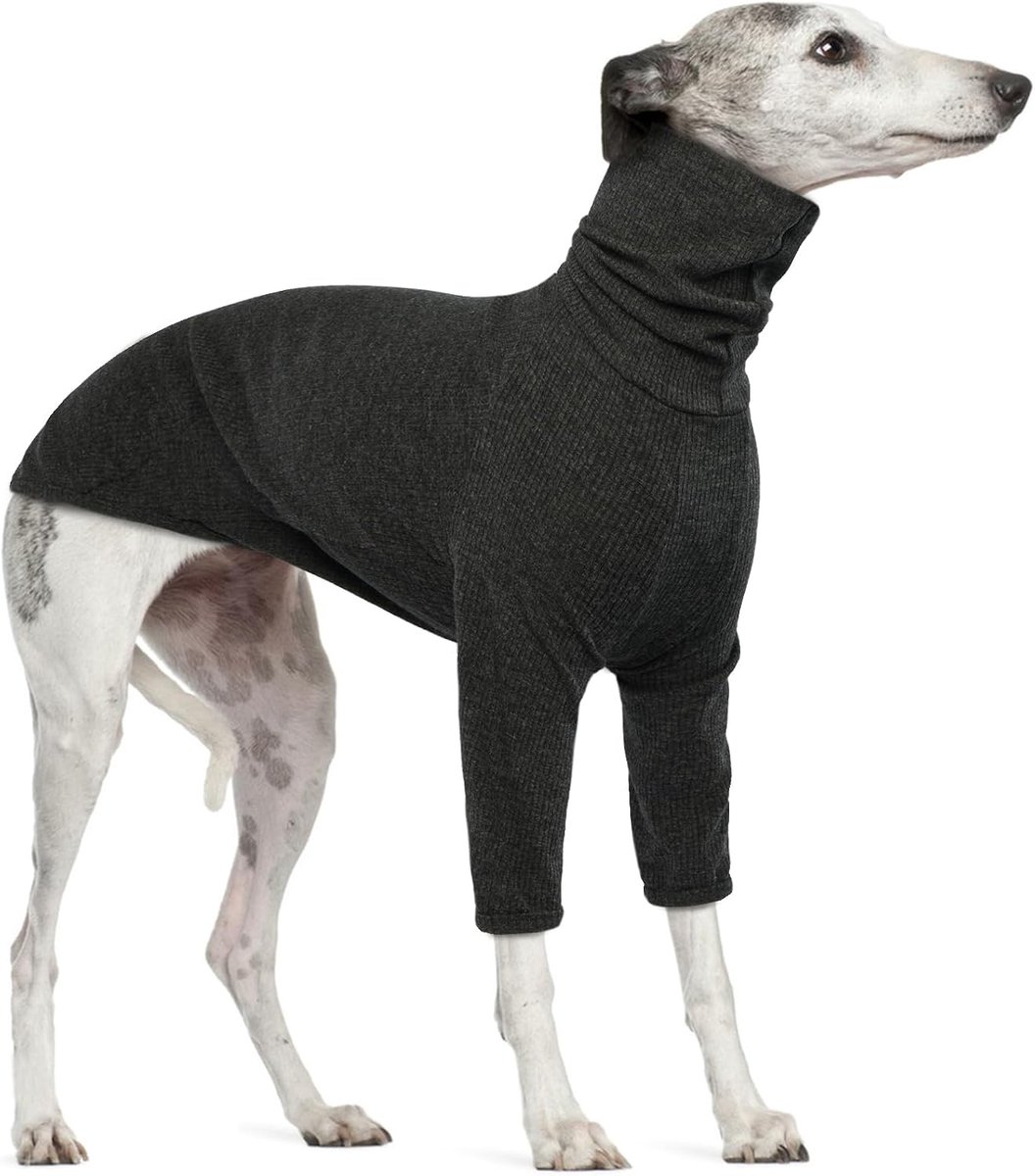 Lurcher Jumper, Greyhound Pyjama Lurcher Pullover Greyhound Shirt Hondentruien Medium Maat Hond Coltrui Shirt (Grijs, L)