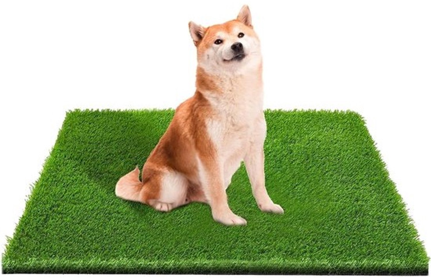 Kunstgras Tapijt - Honden Toilet Tapijt - Balkon Terras Tuin - Met Drainage Gaten - 100x80 cm - Groen