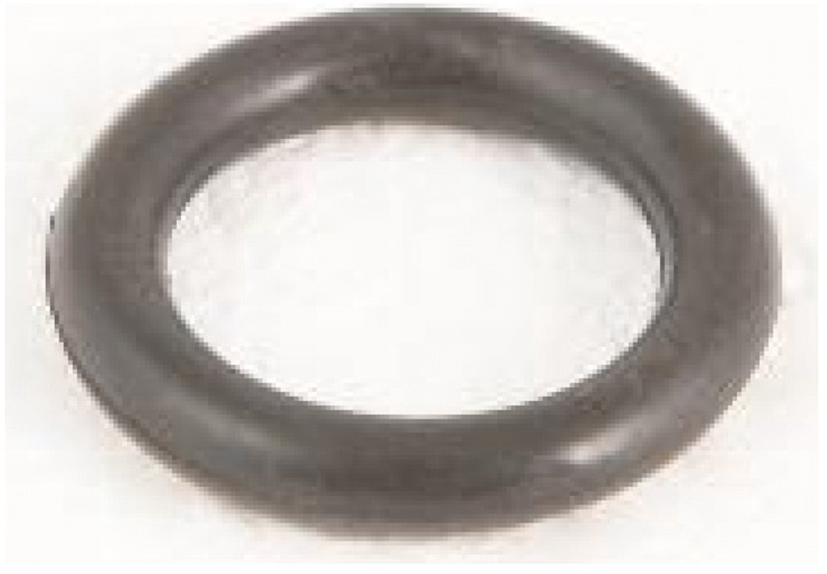 Bestway O-ring Ontluchtingsplug Filterpomp