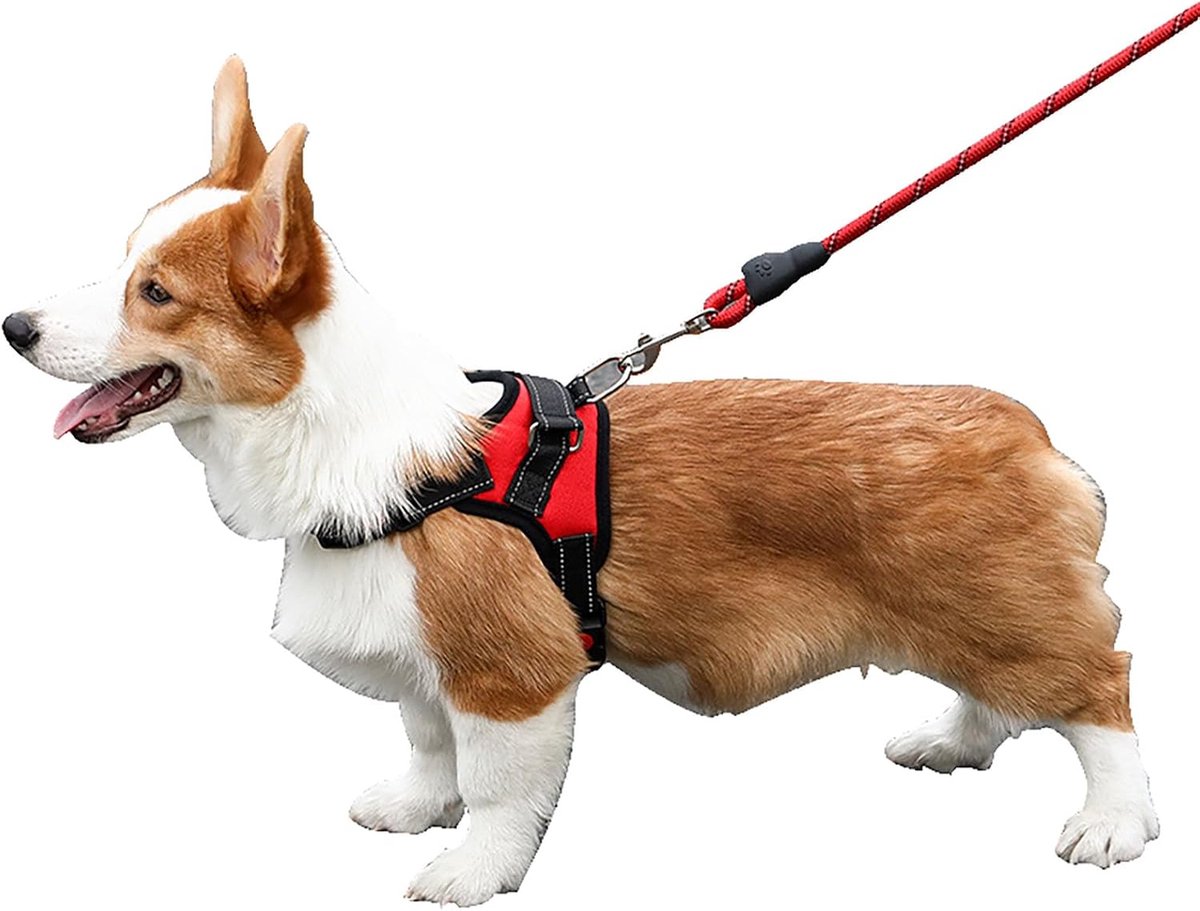 huisdier borst en rug put burst punch borst en rug kan overeenkomen met riem kleine middelgrote en grote honden huisdier benodigdheden