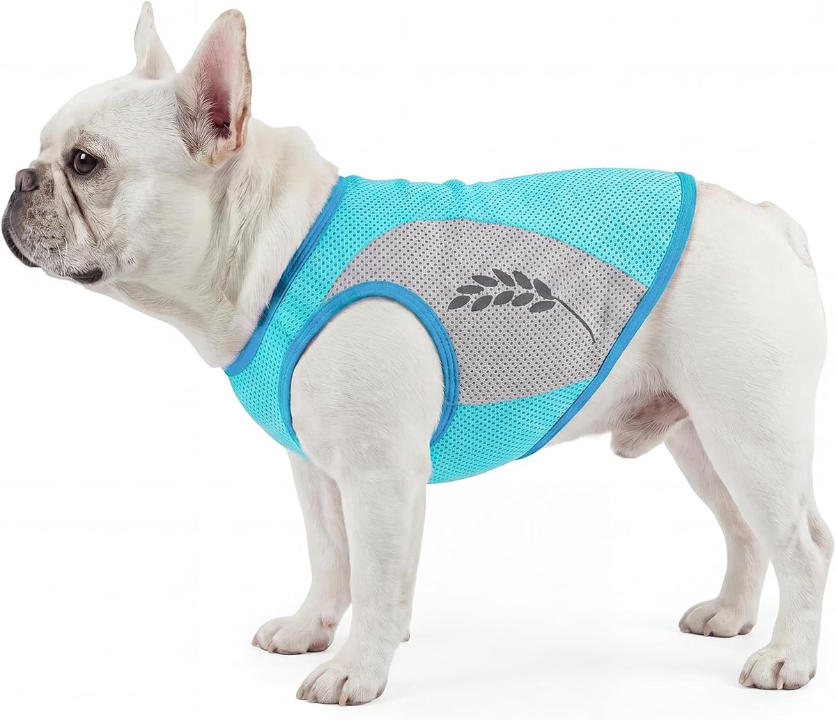Koelvest voor honden, verkoelende zomerjas, verkoelende kleding voor honden, voor wandelingen en kamperen, onmiddellijke hitteverlichting en preventie van hitteslagen (groen, 2XL)