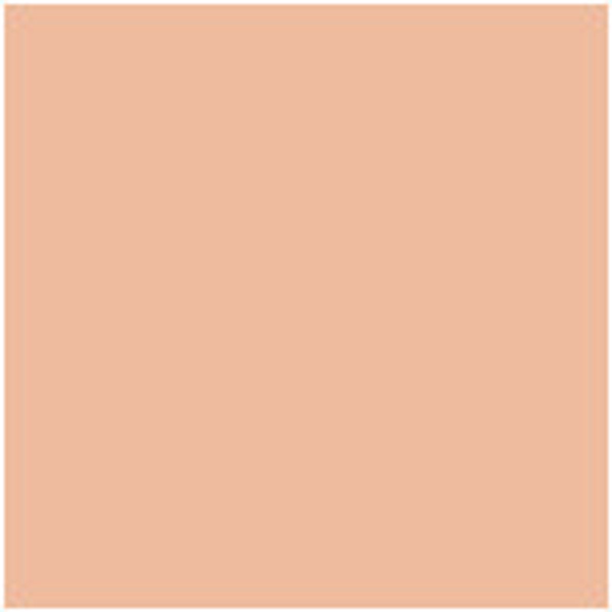 Essence - Silky Cushion Foundation - 50 Beige