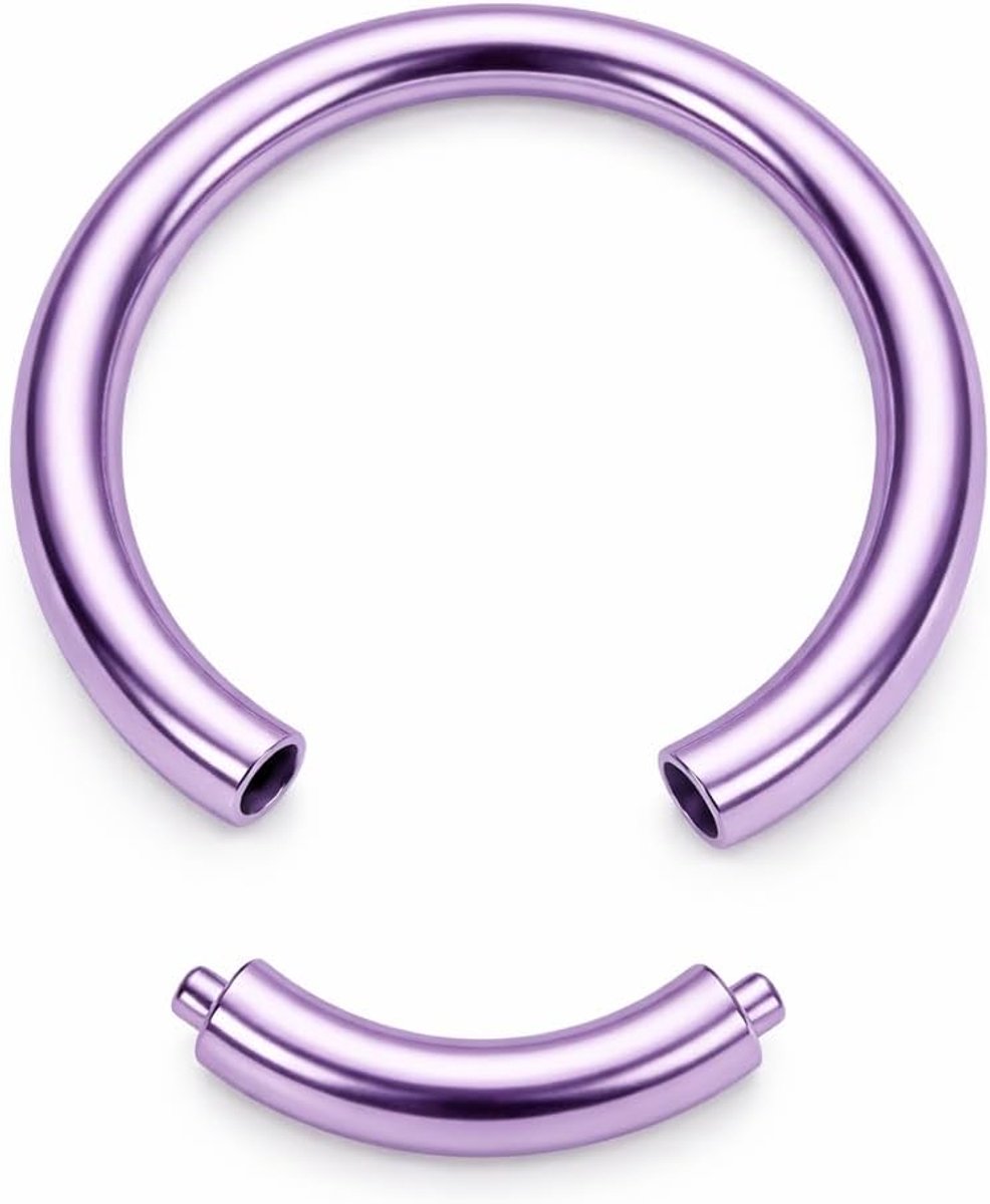Titanium G23 segmentring piercing ring segment roestvrij staal 316L neus septum oor helix lip wenkbrauw intieme borst tragus piercing ring neusring hoepel