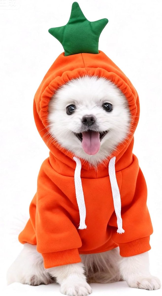 Kostuum voor Honden, Wortel Halloween Sweatshirt, S