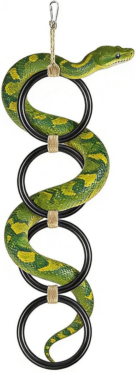 Klimringen voor terraria's, accessoires voor reptielen, klimspel, voor terraria, omheiningen, eigenaars, passies, accommodaties, woonkamer, slaapkamer, studio