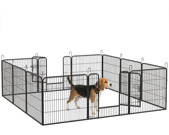 Zwarte metalen dierenren met 8 panelen, waarin een beagler met driekleurige vacht staat.