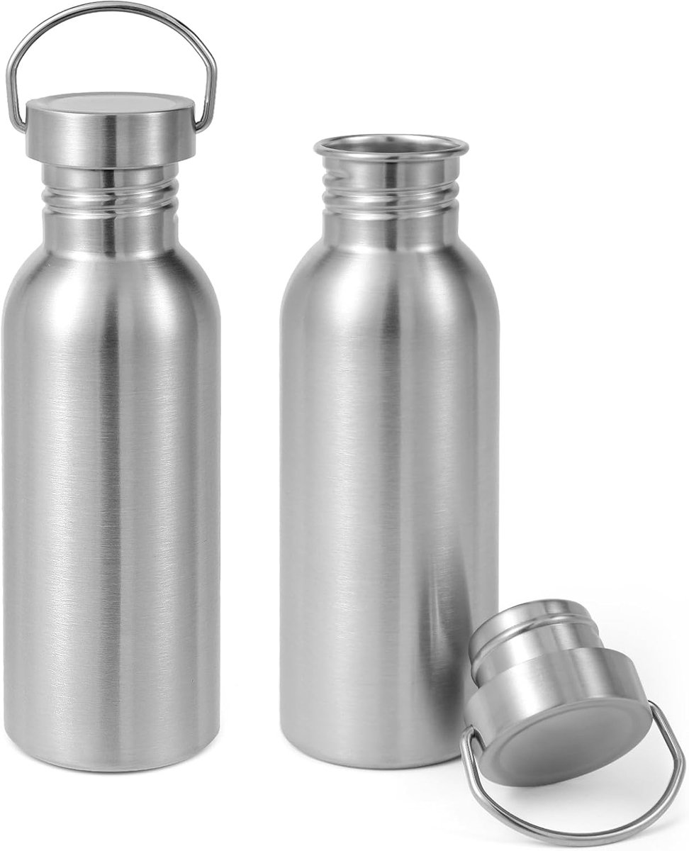 680 ml ongeïsoleerde enkelwandige waterfles 2 stuks, roestvrijstalen herbruikbare waterflessen met handvat, BPA-vrij en plasticvrij 18/8 304 metalen waterflessen voor kamperen, wandelaars