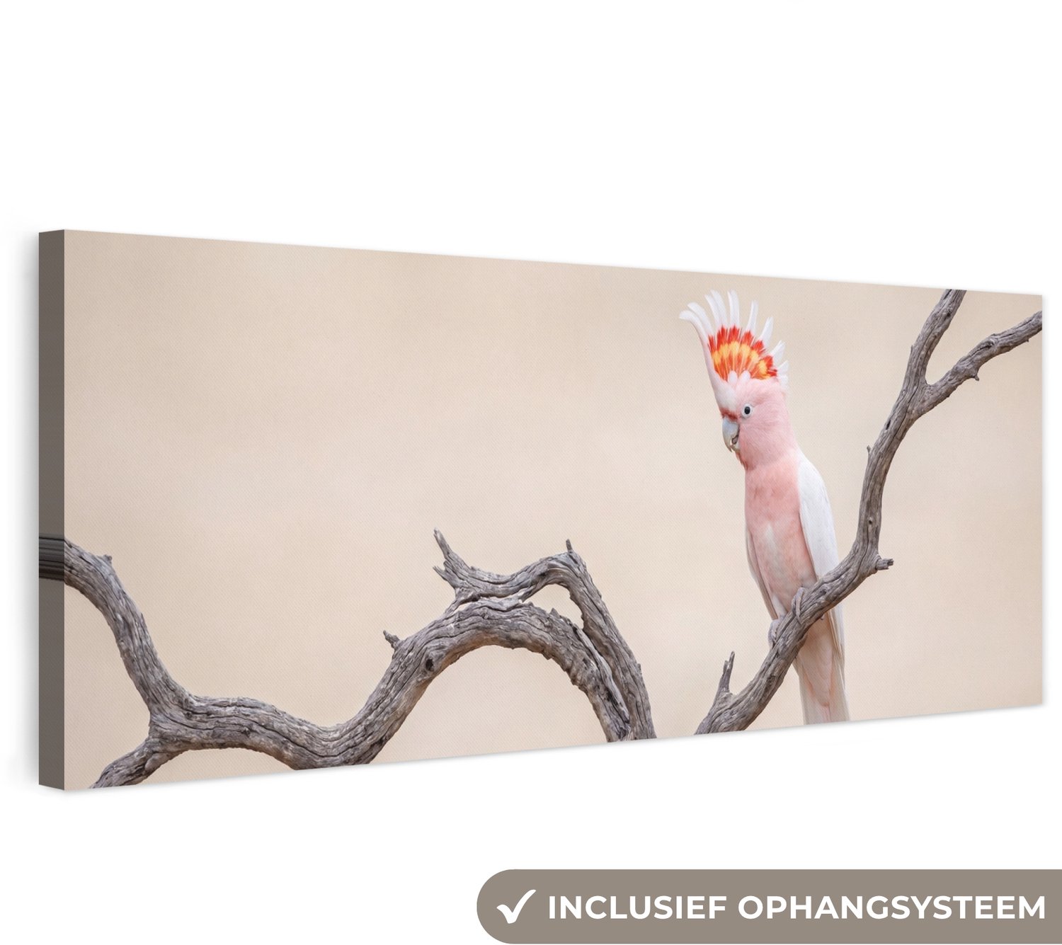 Canvas schilderij 150x50 cm - Exclusieve wanddecoratie Papagaai - Tak - Roze - Muurdecoratie woonkamer - Slaapkamer decoratie - Kamer accessoires - Schilderijen op canvas groot XXL