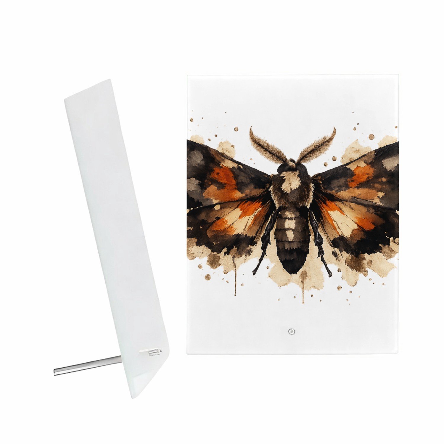 Mr Cadeautjes Glazen fotopaneel Een dramatisch insect of nachtvlinder met brede vleugels en - 15 x 20 cm, staand - glas, decoratie, wanddecoratie | cadeau Wit