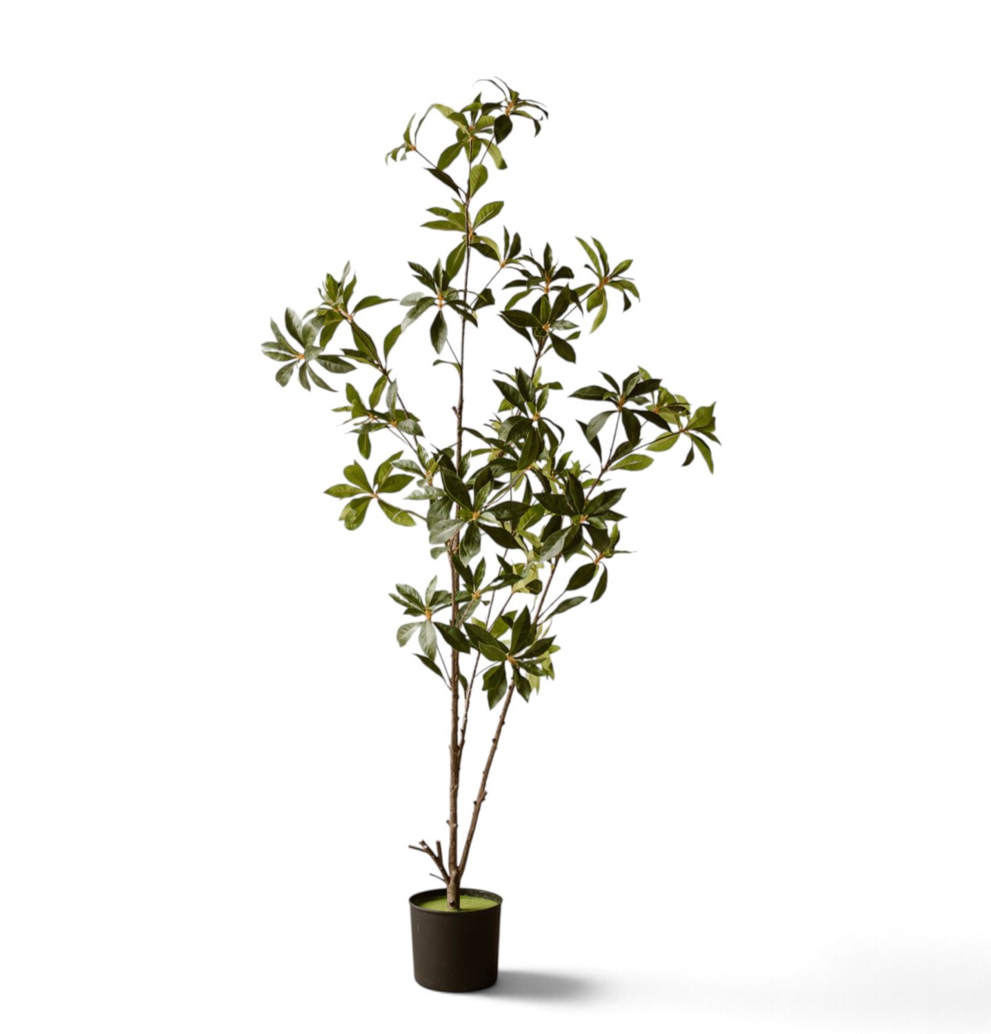 Indore Home Indore Silva - Kunstplant Pieris Japonica 140cm Groen