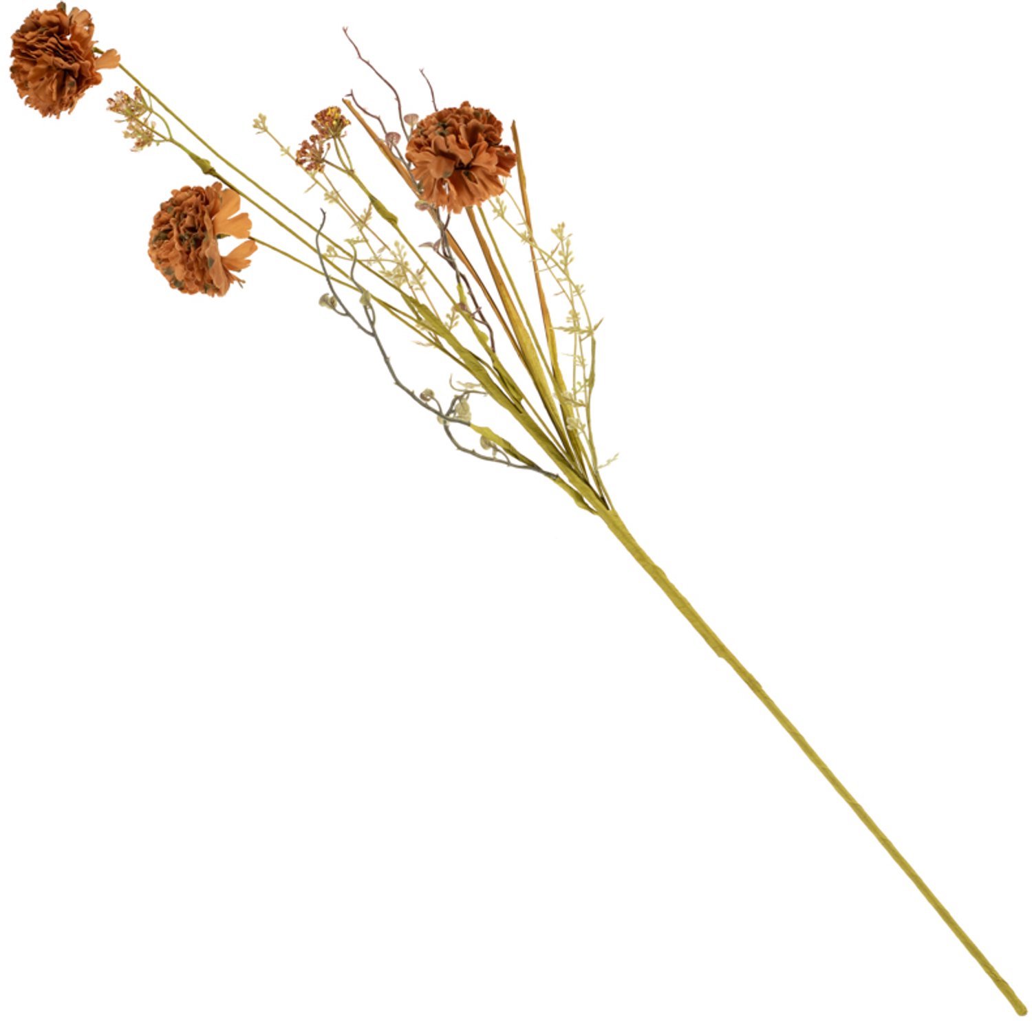 Veldboeket craspedia 74cm bruin