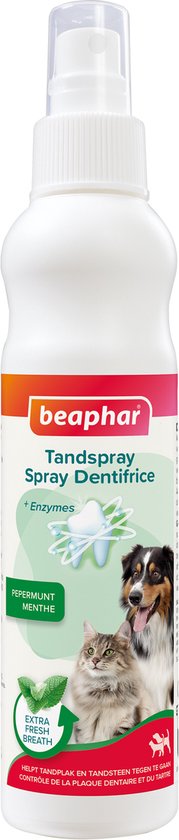 Beaphar Tandspray met peptprmunt en enzymen, met een hond en kat.