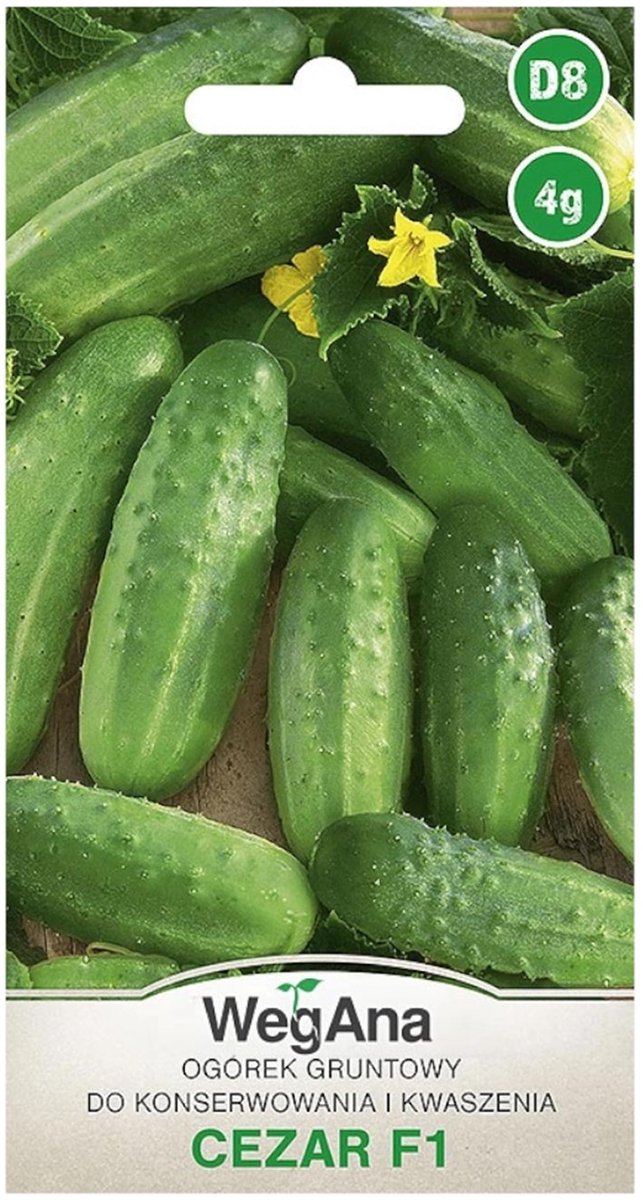 Cucumber Cezar F1 Zaden - Voor Balkon en Tuin