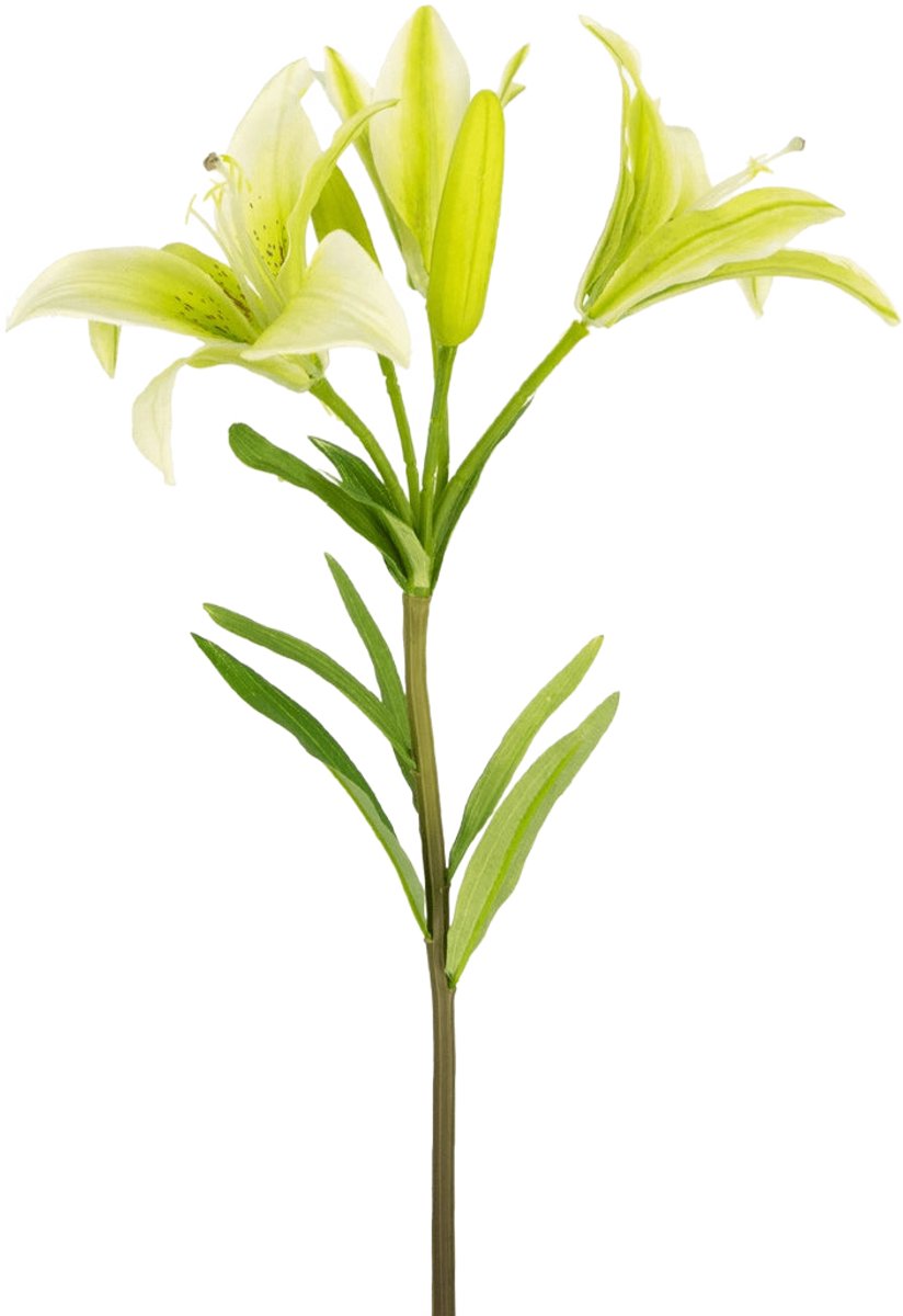 Easyplants | Kunstbloem Aziatische Lelie 66 cm wit | Zijde | Nepbloemen | wit | Onderhoudsvrij | Kant-en-klaar