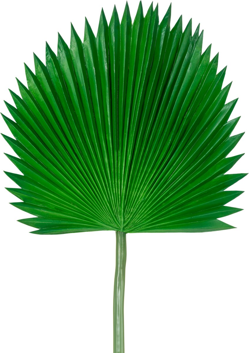 Easyplants | Kunstblad Washingtonia 105cm | Zijde | Nepbloemen | groen | Onderhoudsvrij | Kant-en-klaar