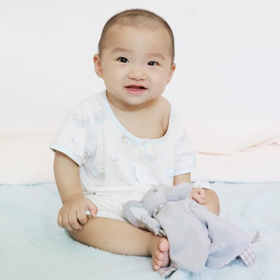 Knuffeldier, speelgoed met knisperfolie, belletjes en bijtring, zacht, wasbaar, voor baby's, pasgeborenen, peuters, jongens en meisjes maanden — afbeelding 2
