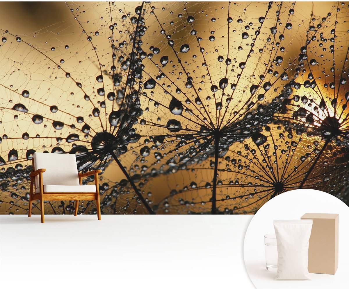 Wallfluent Fotobehang - Zwart Vliesbehang - 416x254 cm - Fijne Druppels Muurschildering - Slaapkamer behang Bloemen En Planten - Fotobehang Vlies - Slaapkamer behang