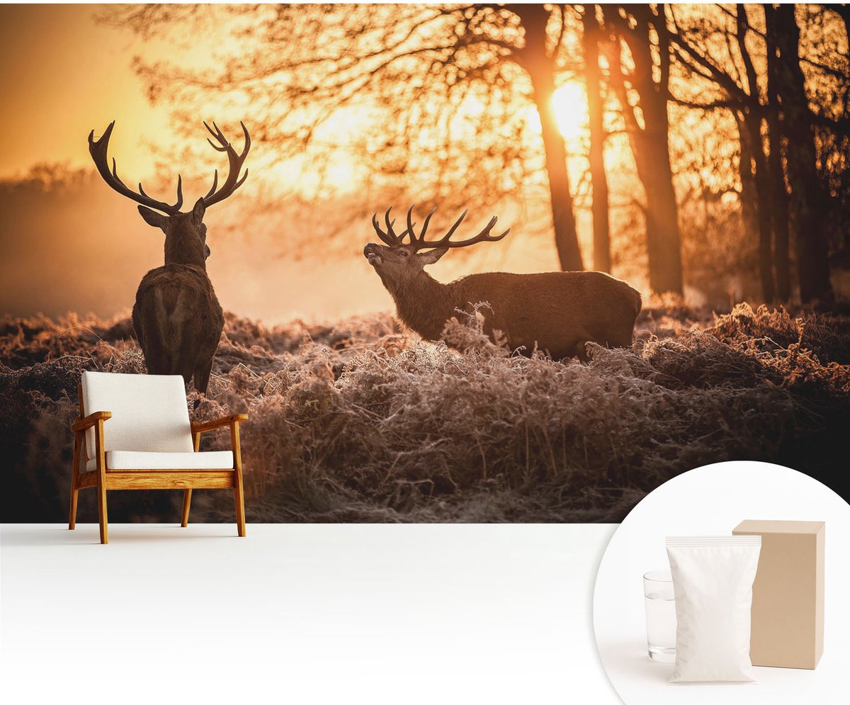 Wallfluent Fotobehang - Oranje Vliesbehang - 416x254 cm - Herten In De Ochtend Muurschildering - Gang behang Dieren - Fotobehang Vlies - Slaapkamer behang