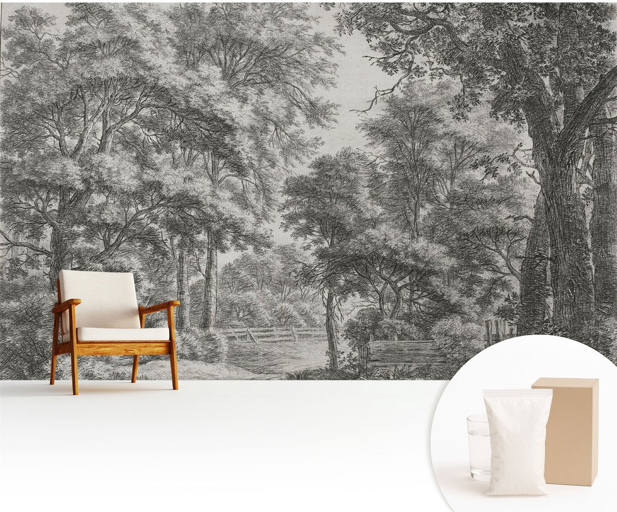 Wallfluent Fotobehang - Zwart-Wit Vliesbehang - 416x254 cm - Boslandschap Fotobehang Vlies - Hal behang Landschappen - Muurschildering - Hal behang