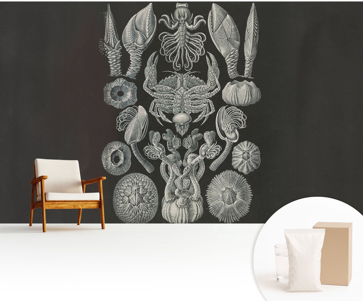 Wallfluent Fotobehang - Zwart Vliesbehang - 416x254 cm - Onderwatervormen Muurschildering - Slaapkamer behang Abstractie - Fotobehang Vlies - Gang behang