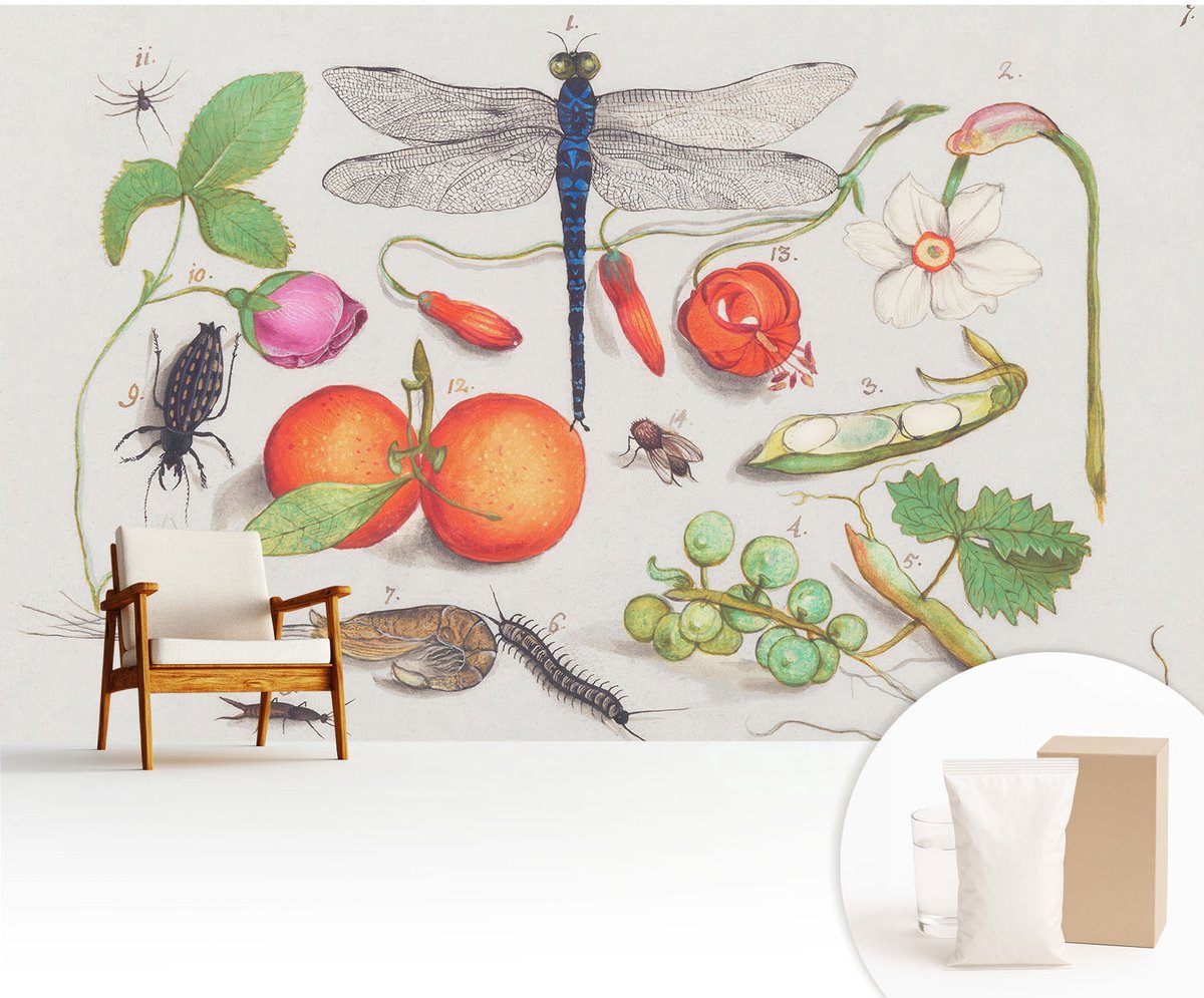 Wallfluent Fotobehang - Wit Vliesbehang - 416x254 cm - Natuurillustratie Muurschildering - Gang behang Bloemen En Planten - Fotobehang Vlies - Slaapkamer behang