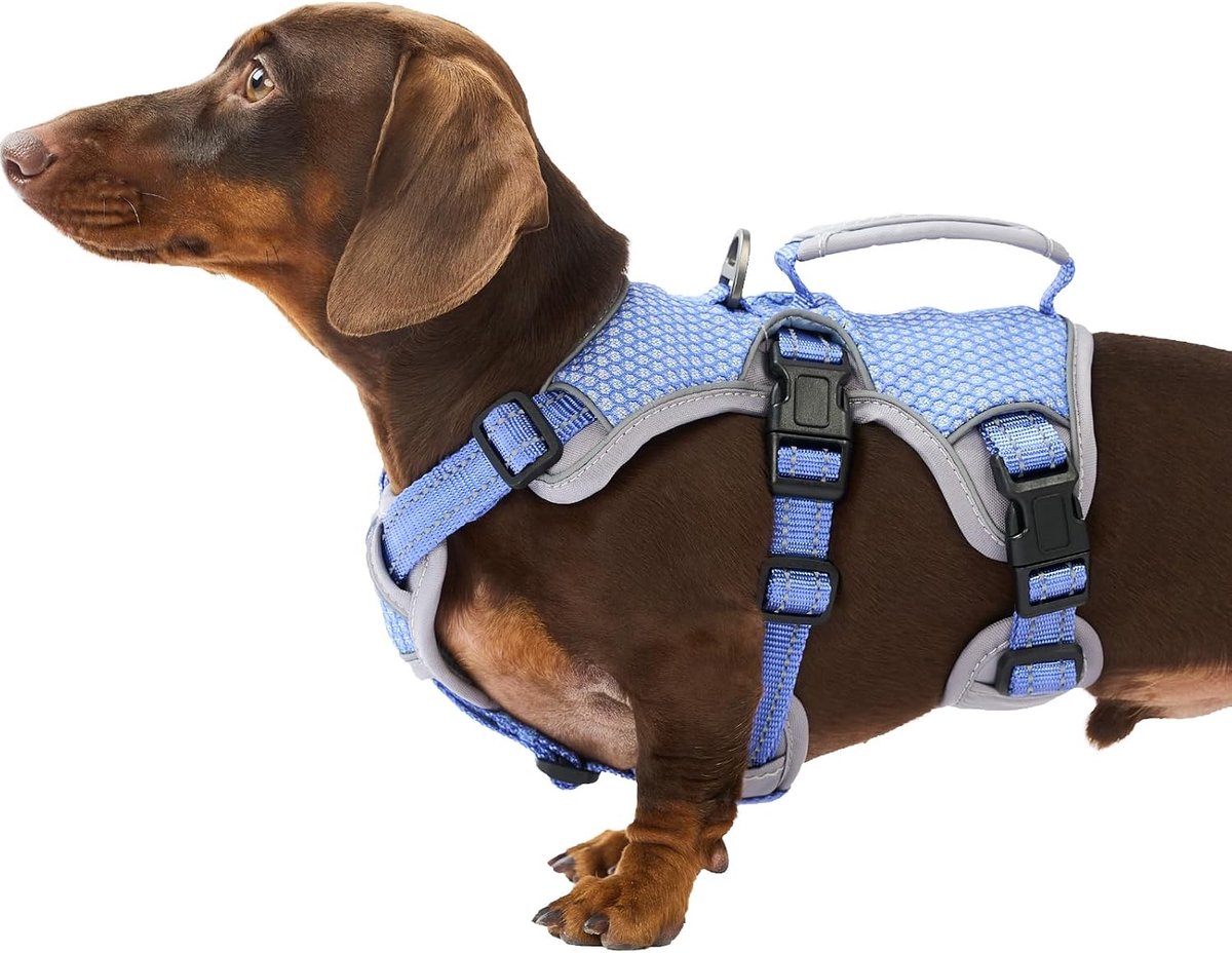 Ontsnappingsbestendige hondentuig, reflecterend hondentuig met handgreep, duurzaam en ademend verstelbaar hondentuigvest voor wandelen, training en hardlopen (Paars,S)