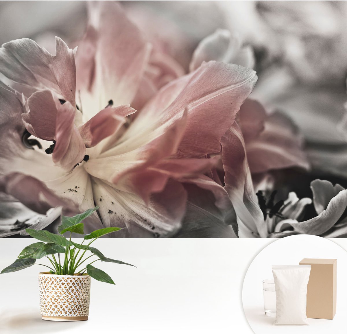 Wallfluent Fotobehang - Grijs Vliesbehang - 152x104 cm - Pastelkleurige Bloem Fotobehang Vlies - Woonkamer behang Bloemen En Planten - Muurschildering - Woonkamer behang