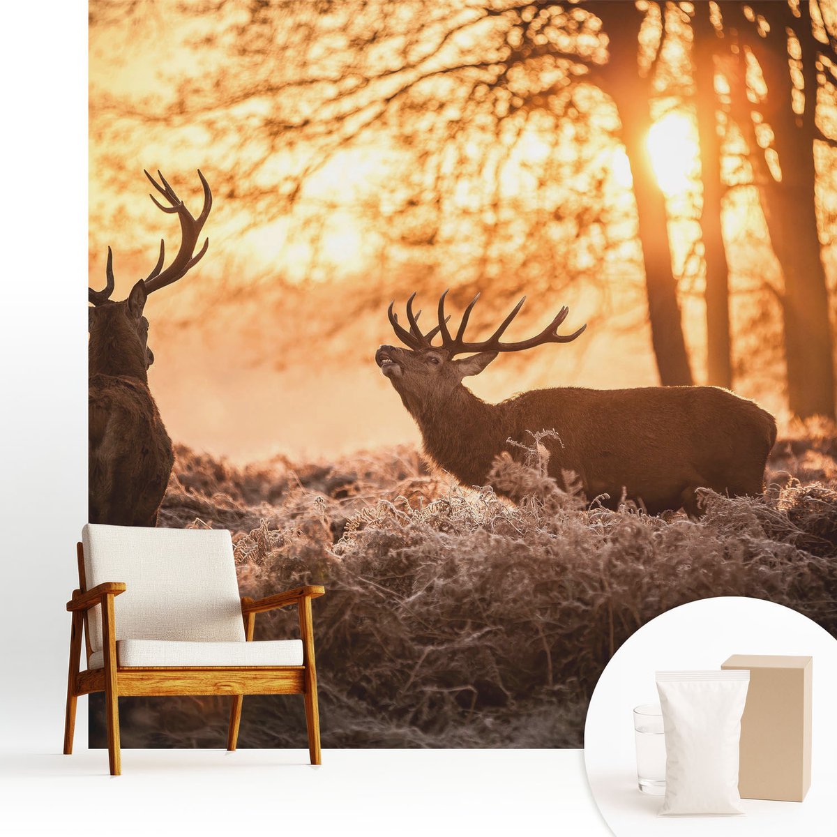 Wallfluent Fotobehang - Oranje Vliesbehang - 250x250 cm - Herten In De Ochtend Muurschildering - Gang behang Dieren - Fotobehang Vlies - Slaapkamer behang