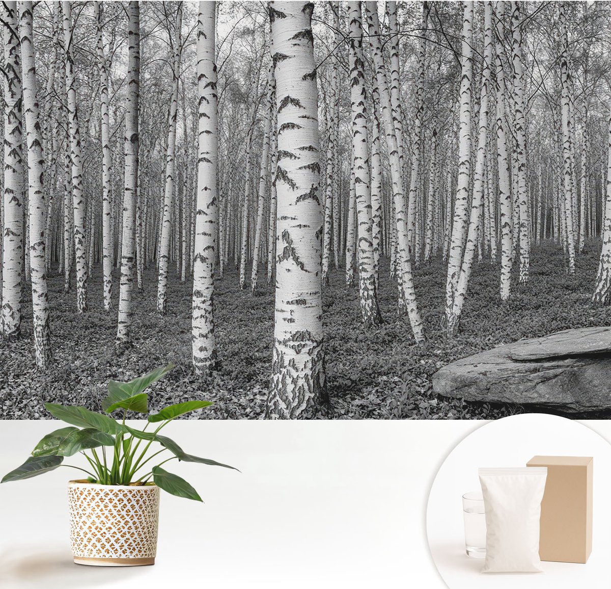 Wallfluent Fotobehang - Zwart-Wit Vliesbehang - 152x104 cm - Berkenbos Muurschildering - Gang behang Bloemen En Planten - Fotobehang Vlies - Slaapkamer behang