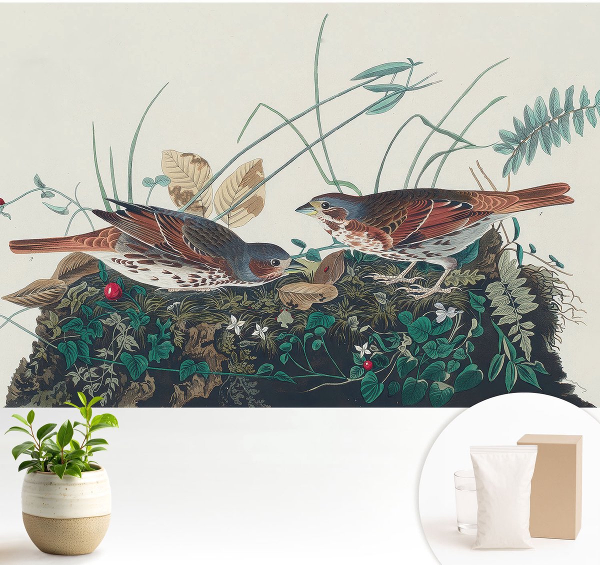 Wallfluent Fotobehang - Grijs Vliesbehang - 104x70 cm - De Charme Van De Natuur Muurschildering - Gang behang Bloemen En Planten - Fotobehang Vlies - Gang behang