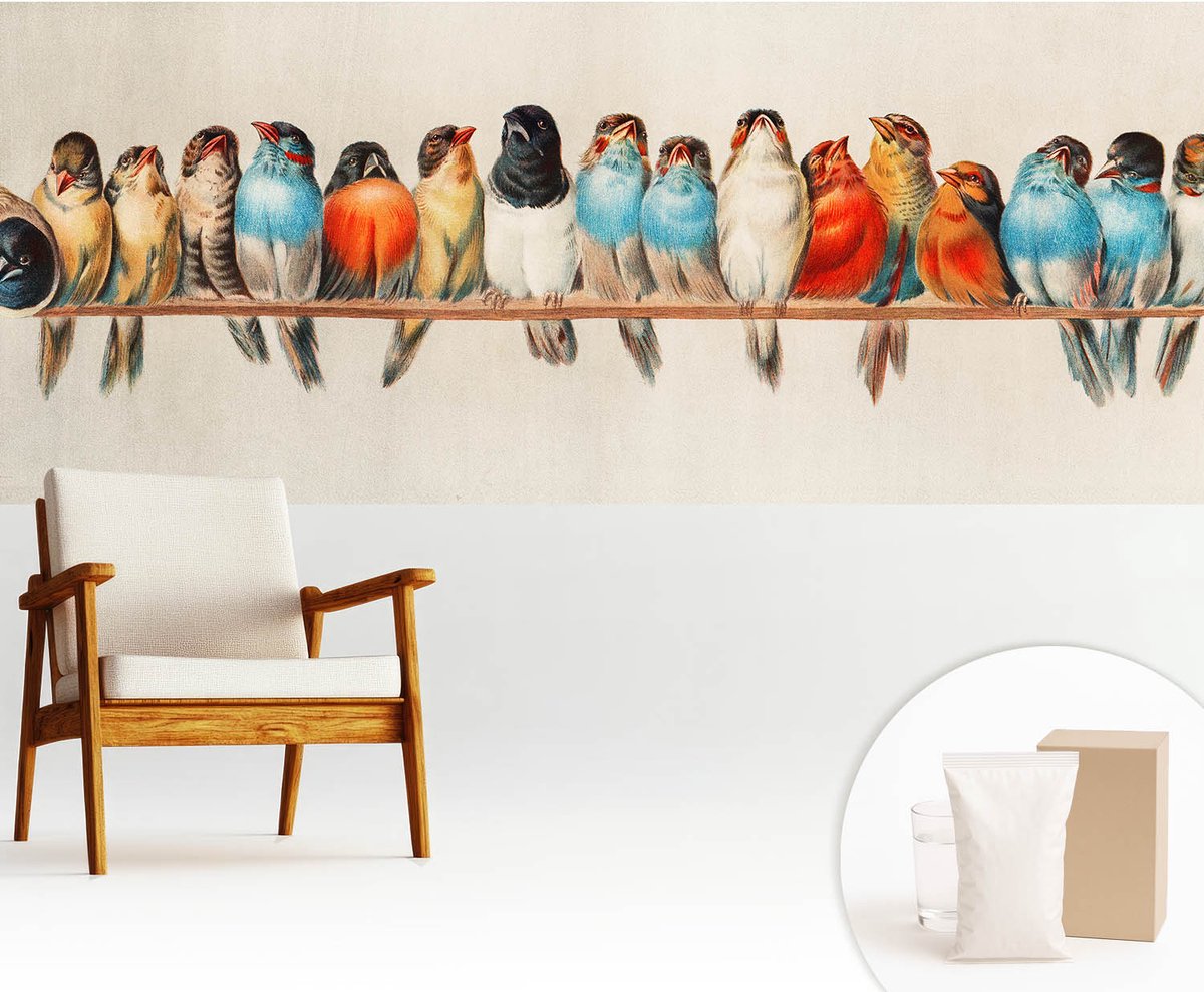 Wallfluent Fotobehang - Blauw Vliesbehang - 250x104 cm - Vogels Op Een Tak Fotobehang Vlies - Hal behang Dieren - Muurschildering - Woonkamer behang