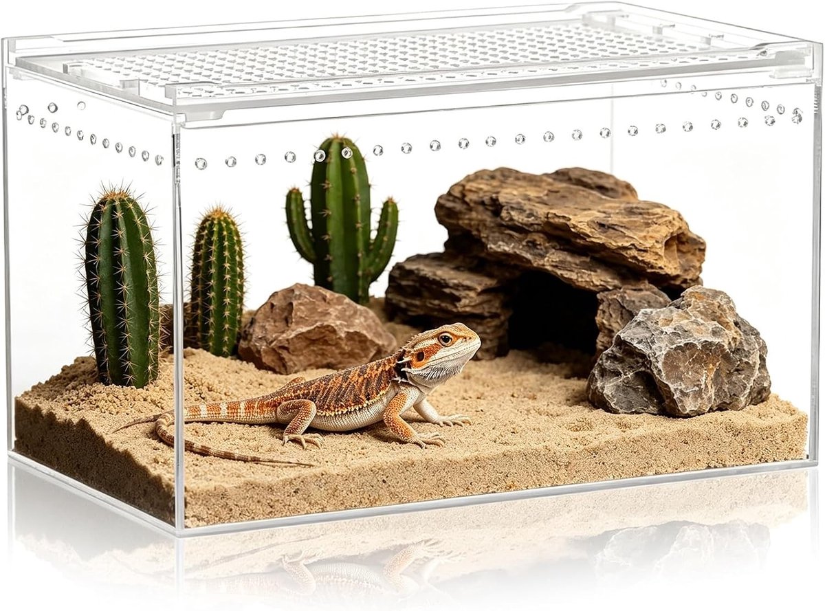 Hoge kwaliteit acryl terrarium met ventilatie voor reptielen, insecten en kleine huisdieren - 20×15×10cm, ideaal voor reptielenverzorging en als starterset