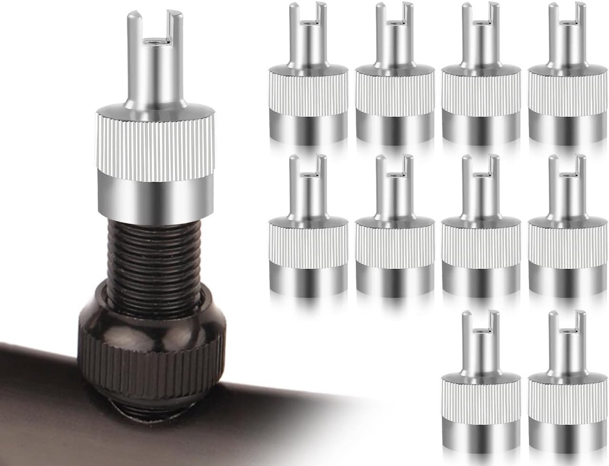 Set van 10 metalen ventieldoppen voor auto, motor en vrachtwagen - stofdoppen en ventieltools voor optimale bescherming van autobanden