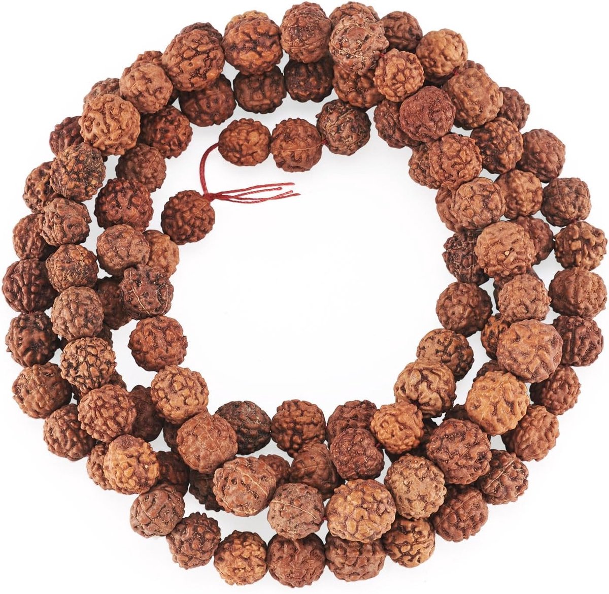 Natuurlijke Rudraksha Kralen voor Japa Mala, Meditatie en Gebed - Authentieke Himalaya Rondel Kralen voor Spiritueel Gebruik