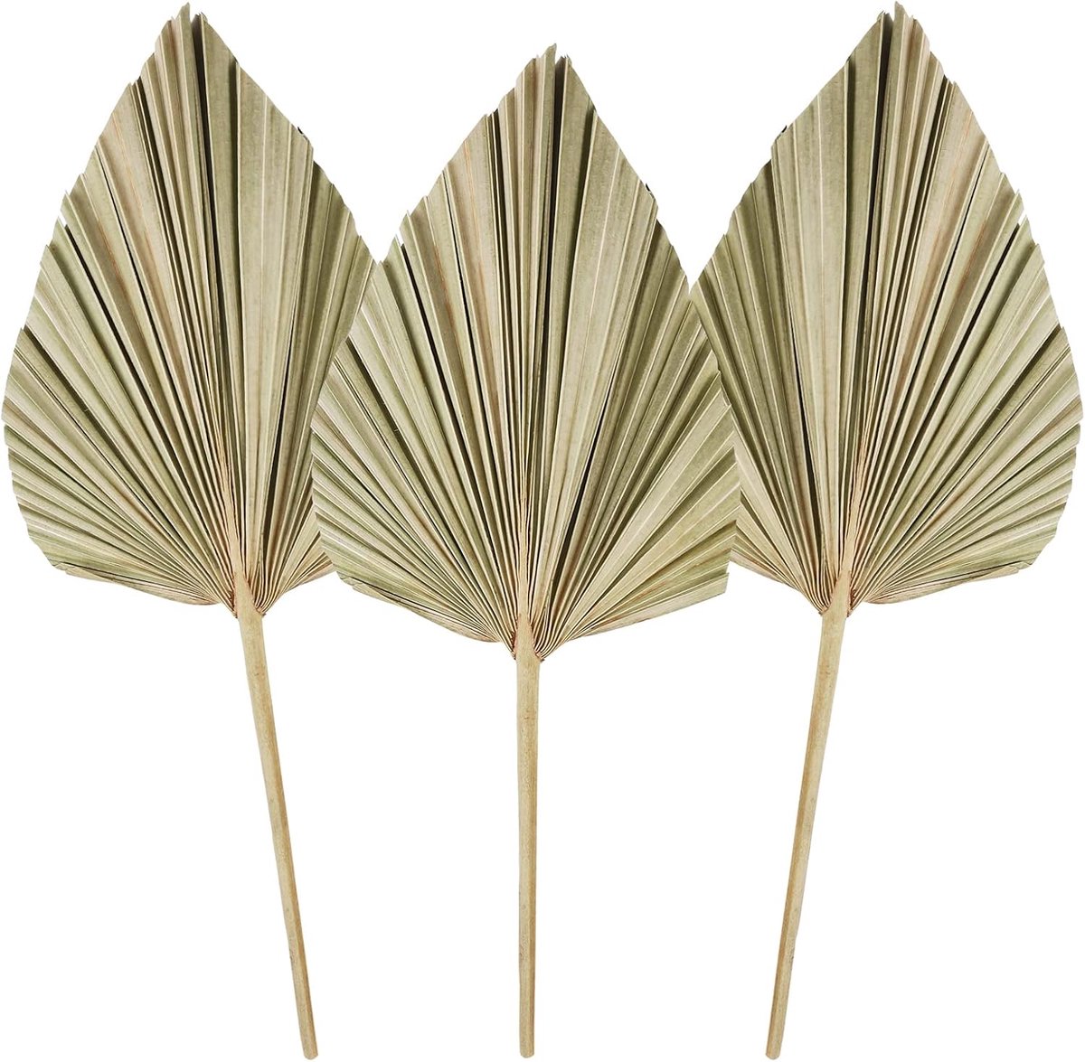 Kunstblad - Set van 3 - Hout - Boho - Naturel