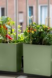 Twee olijfgroene Vercony plantenbakken met paprika- en tomatenplanten tegen een balkonhek.