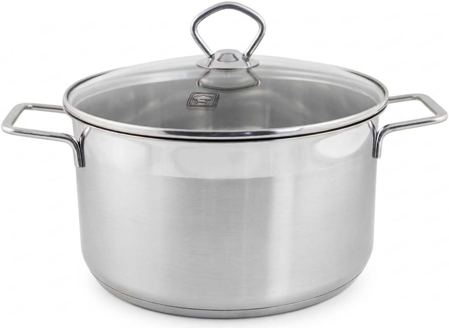 Grote Kookpan - Zilver - 26 cm - Roestvrijstaal met Glazen Deksel - Voor Inductie en Andere Warmtebronnen
