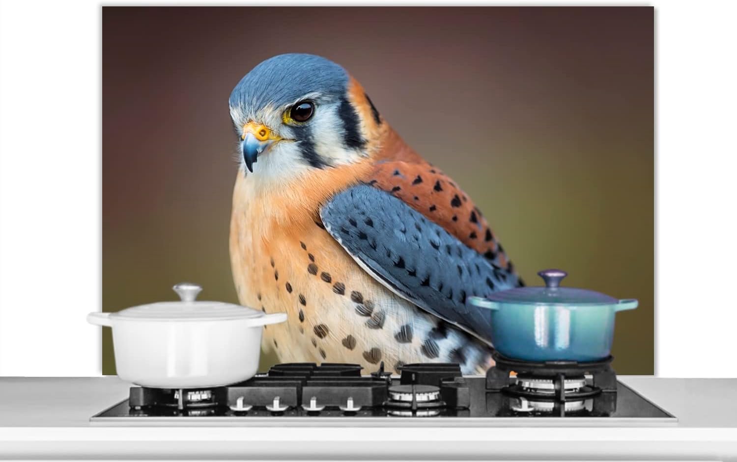 Spatscherm Keuken - 100x65 cm - Vogel - Macro - Blauw