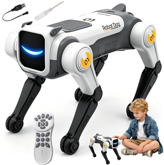Wit-grijze 'Robot Dog' met afstandsbediening, accessoires en een jongen die ernaast op de grond zit.