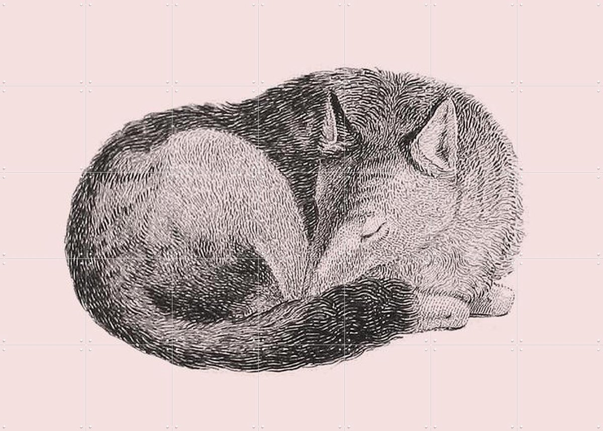 IXXI Sleeping Fox pink, IXXI - 140 x 100 cm - Gratis ophangtool - Grote wanddecoratie en posters - Line art, Illustraties, Houtsnede, Kinderkamer