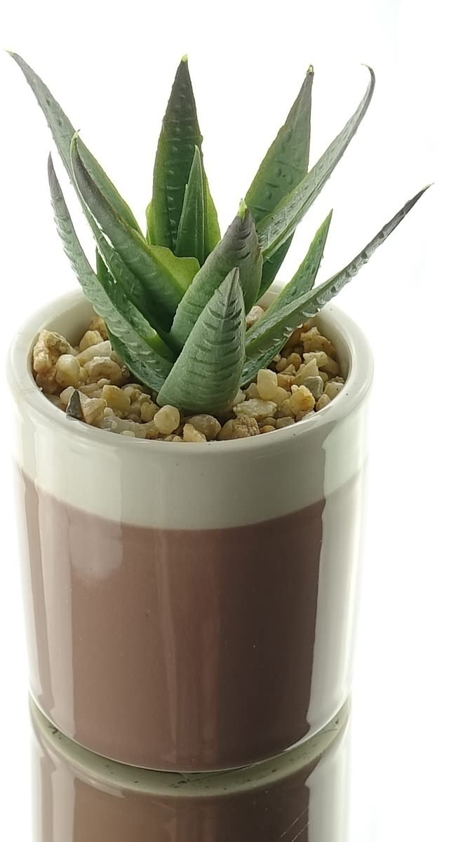 Kaemingk mini-succulent lichtbruin pot hoogte 12 cm - kunstplanten